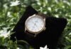 Vorque Constantine Watch Review